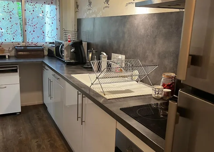 F2 Bord D Allier 6 Pers Avec Jardin Clos *